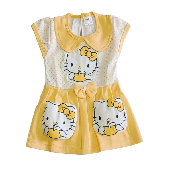 Lovely Doll Frock With Bloomer  - 18