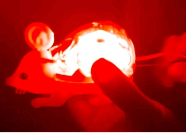 Push & Run Lighting Mouse Toy  - 3 + Year's Kids