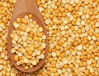 चना दाल Chana Dal  - Pigment Indigo, 1kg