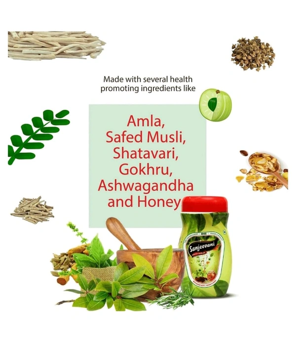 Sanjeevani Prash Awalah, 500g - 500g