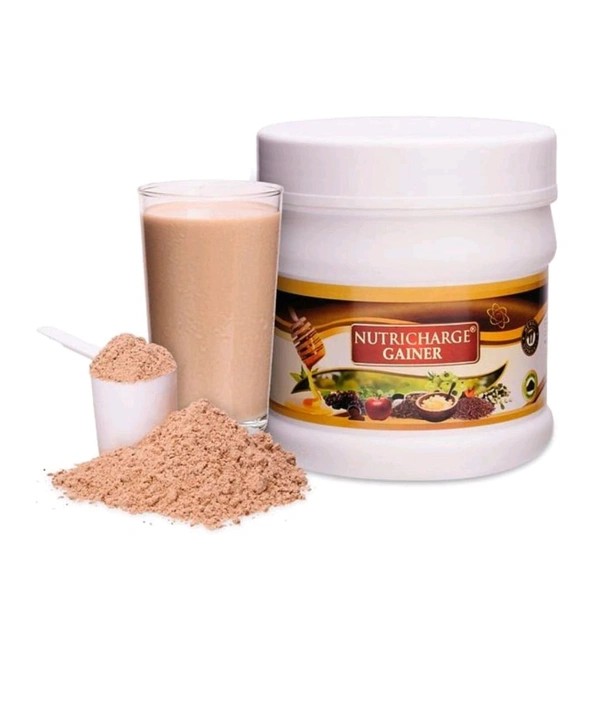 Nutricharge Gainer,500g