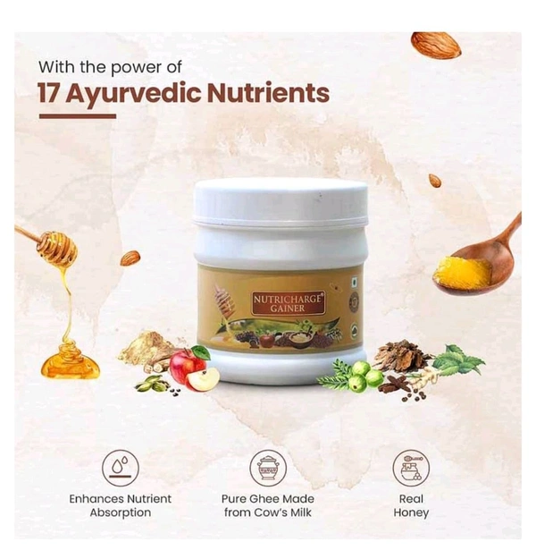 Nutricharge Gainer,500g
