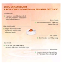 Nutricharge Veg Omega