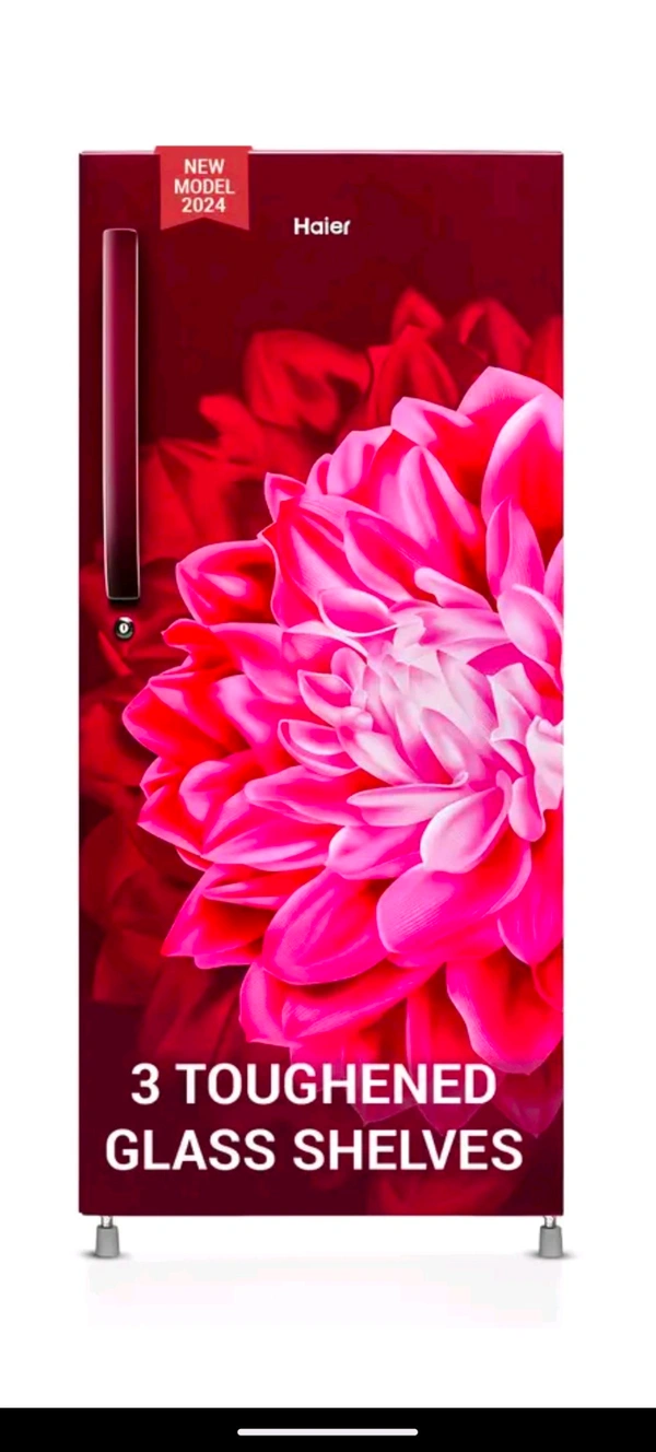 Haier 190 L Direct Cool Single Door 3 Star Refrigerator with Large Storage Space1 Hour Icing Technology (Red Dahelia, HED-203RD-P)