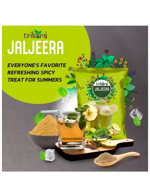 Trikara Jaljeera Powder,100g