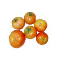 टमाटर (🍅 Tomato) 500g