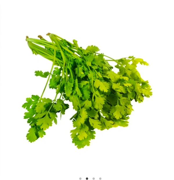 Coriander Bunch (Dhaniya Patta) 100g