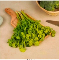 Coriander Bunch (Dhaniya Patta) 100g