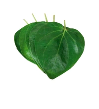 Betel Leaves (Paan Patta) (5p ) 25rs