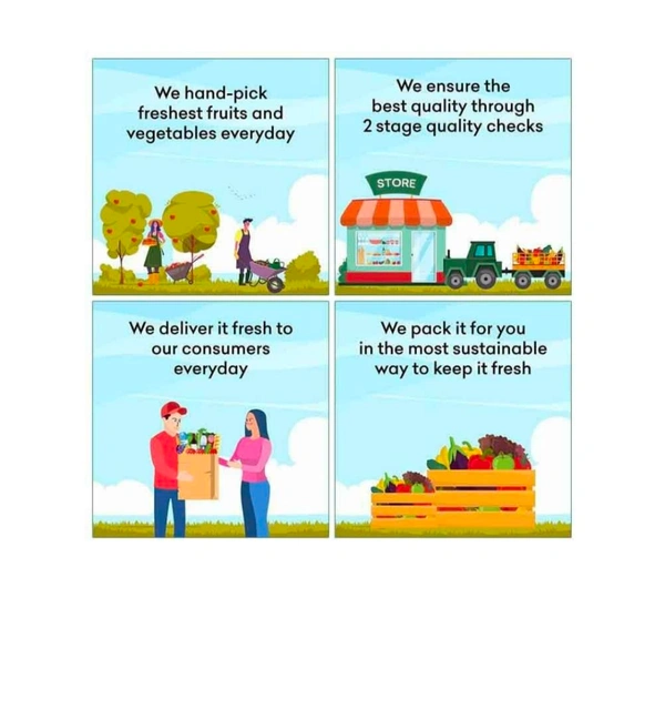 (🥝 कीवी) Green 🥝 Kiwi 6pic