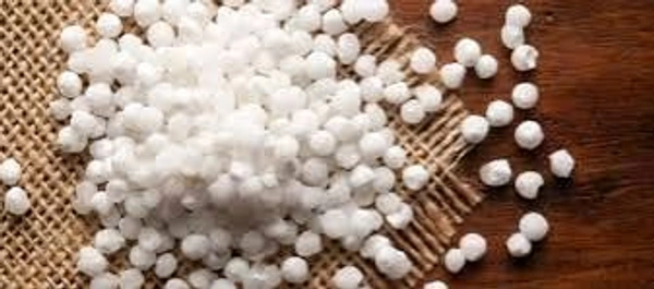 Saburdana 500g