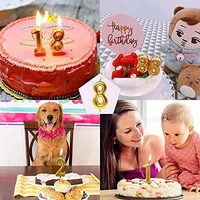 Selibration.com | Golden Numerical No. 9 Birthday Candles for Cake, Anniversary and Birthday Celebration Supplies for Your Loved Ones
