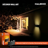Halonix 6W Decorer Wall Light | 6 Rays | Water Proof IP65 | Up & Down Wall Lamps - Outdoor Wall Lights for Elevation,Garden & Patio Lights - (Warm White)-Pack of 1

