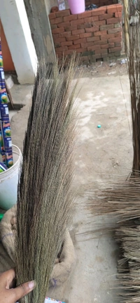 Khajur Jhadu