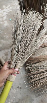 Khajur Jhadu