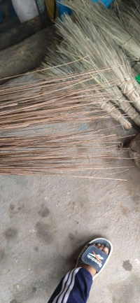 Sick Jhadu