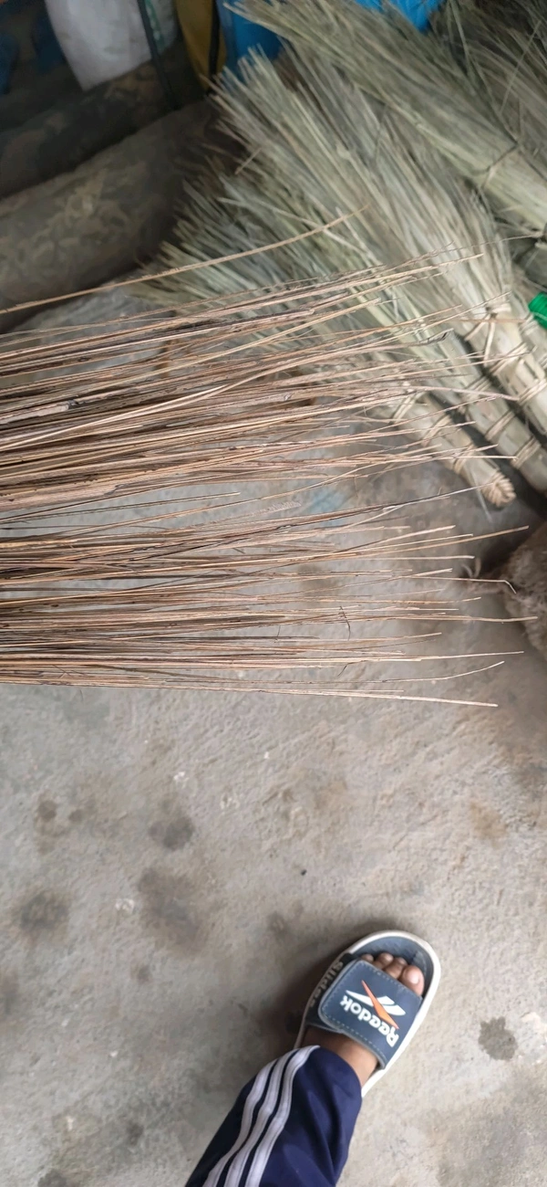 Sick Jhadu