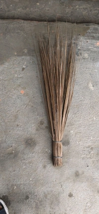 Sick Jhadu