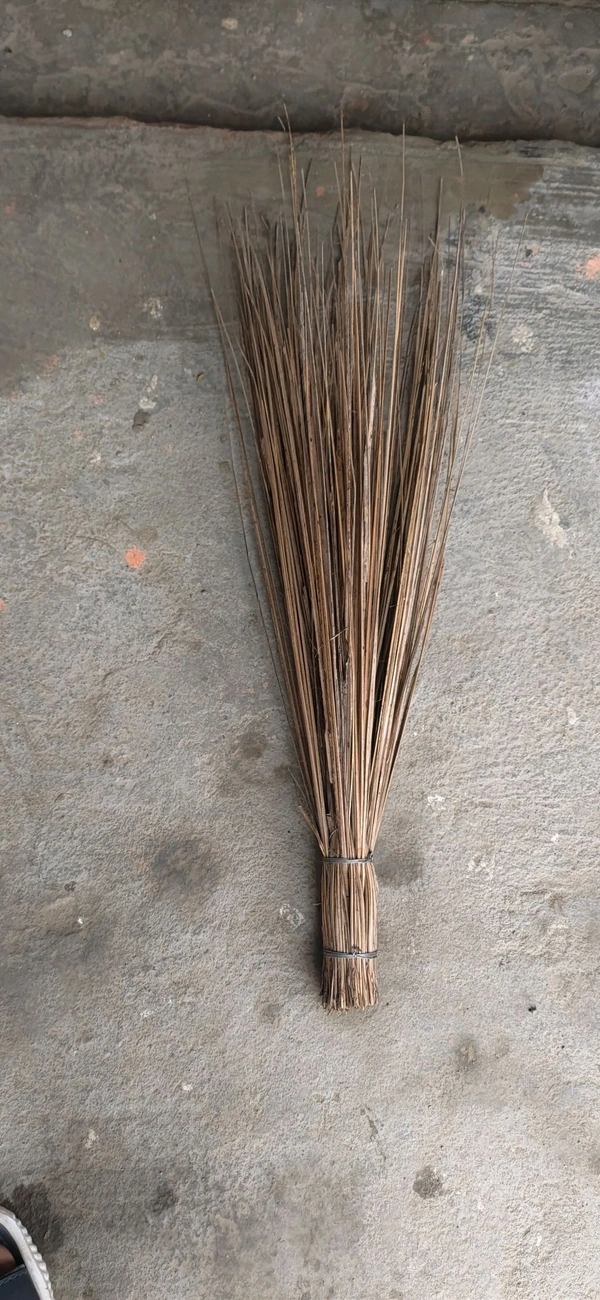 Sick Jhadu