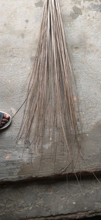 Sick Jhadu