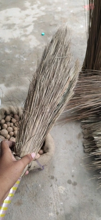 Khajur Jhadu