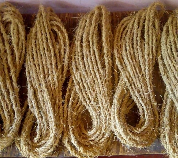 Narkul Rashi