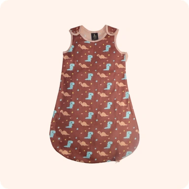 Sleeping Bag