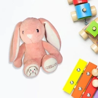 Adhigams Baby Bunny  Soft Toys/Stuffed Toys/Plush Toy | Unisex Toys for Baby boy and Girl (30 cm)