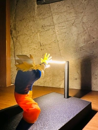 GOKU LAMP.
