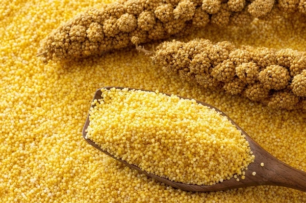NAVANE – Natural Foxtail Millet - 0.5 KG