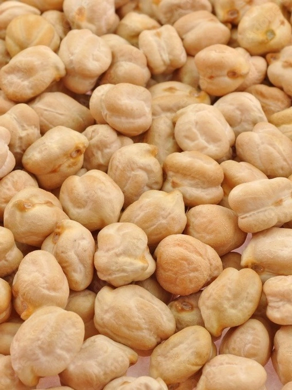 KABULI CHANNA – Natural & Unpolished White Chickpeas - 0.5 KG