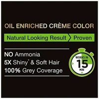  Garnier Original Black 2.0 Natural Cream Colour: 20 ml - 20ml