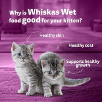 Whiskas Tuna In Jelly Flavour (1+Years): 80 g - 80 g
