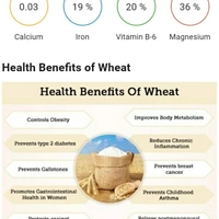 AIRmilk Vegun Wheat Milk - Light Yellow, 5/5