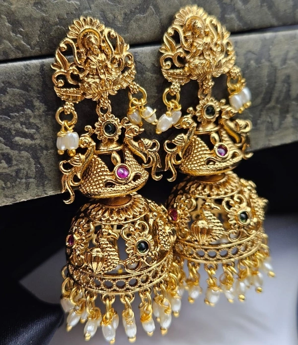 lakshmi devi earnings