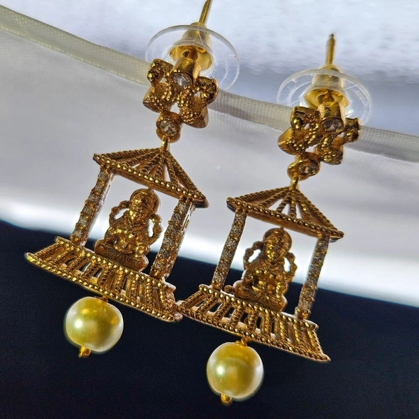 lakshmi earnings