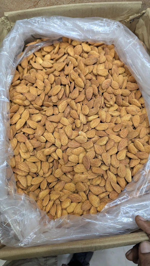 Almond Indipendent Regular - 10