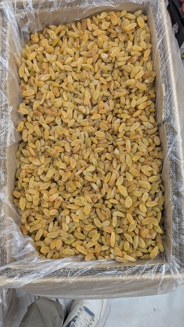 Raisins Golden Long - 10