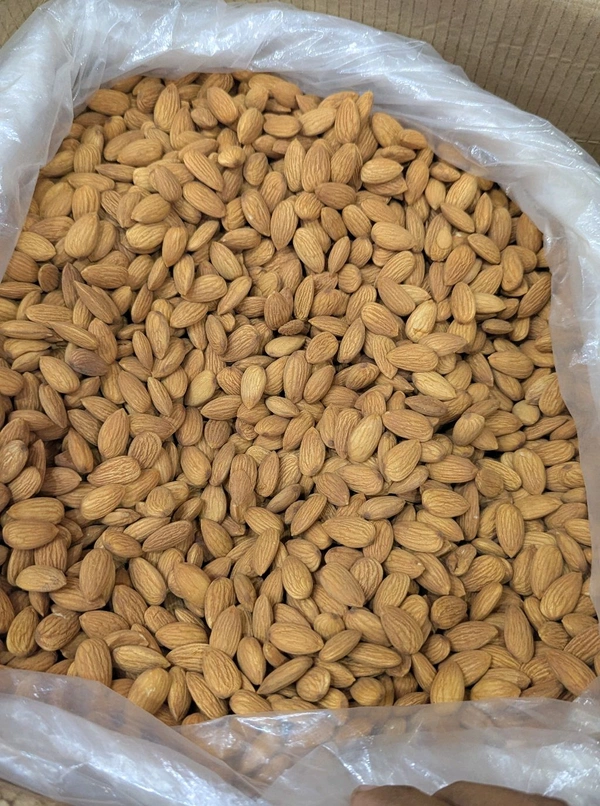 Almond California Bold - 15