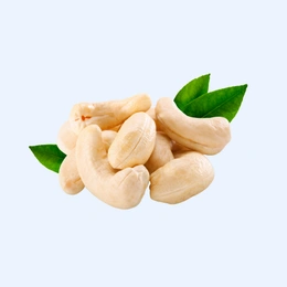 Cashew Nut - FortuneGlobal B2B Marketpla...