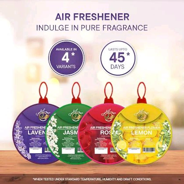 Air Freshener 