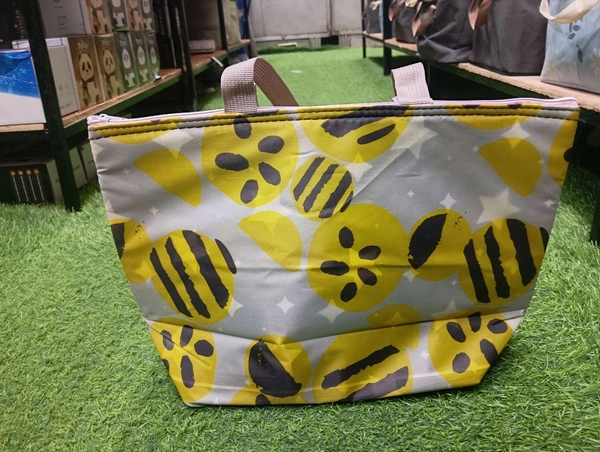Insulated Tiffin Bag