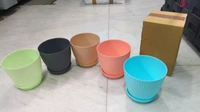 Flower Pot ( Set of 5)