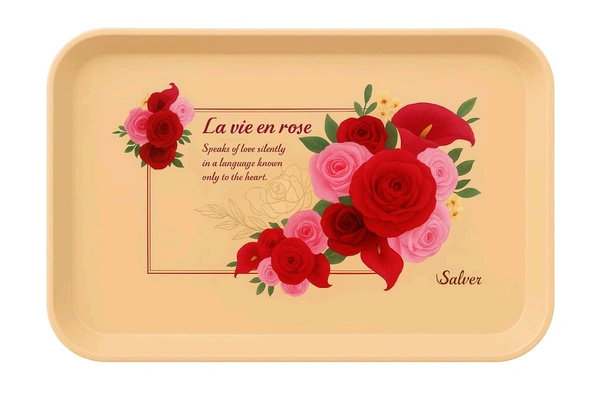 3 Tray Set