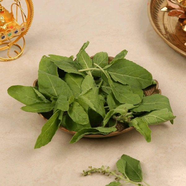 Tulsi Patta  (तुलसी पत्ता) 11pcs 