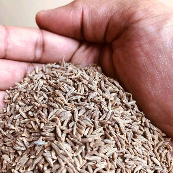 Jeera or Cumin Seeds 90gm - ⚡ 10 Minutes, 90g