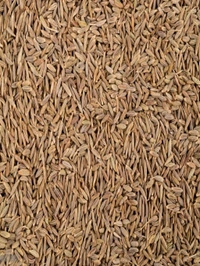 Jeera or Cumin Seeds 90gm - ⚡ 10 Minutes, 90g