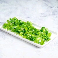 Ballia  Coriander leaves* Hara Dhaniya