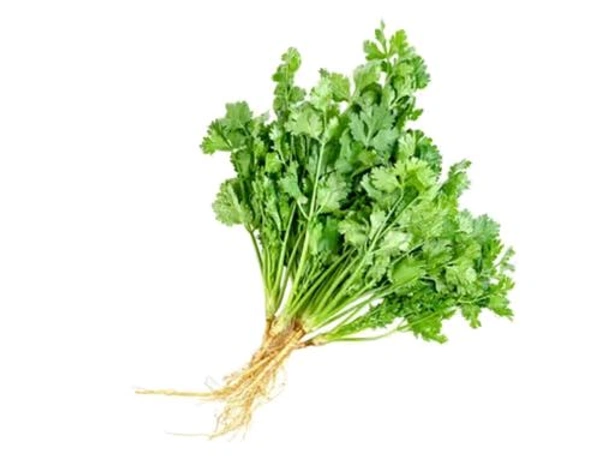 Ballia  Coriander leaves* Hara Dhaniya