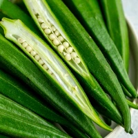 Ballia  Lady Finger* Hari Bhindi  - 500 g, 14 Minute